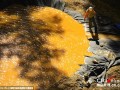 美环保署误将380万升污水倒进河流致河水变橙色